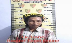 bandar judi togel