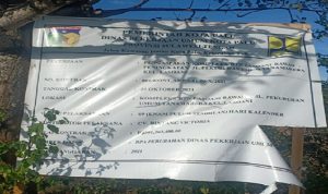 DIREKSI