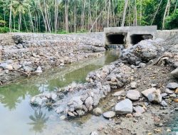 Proyek Pemasangan Bronjong 2022 Desa Sikara Tobata, Dikabarkan Miring dan Ambruk ke Bantaran Sungai