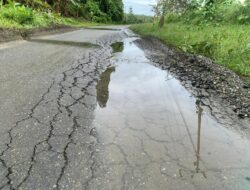 Sepotong Badan Jalan Nasional Memprihatinkan Wilayah Danau Talaga, Sebagian Berlubang dan Retak