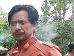 15 Batang Pohon Kelapa Dibutuhkan Bangun Jembatan Darurat, Kades Patilereng Bilang Begini