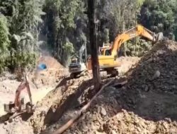 Peti Tabong Kembali Marak, Pelaku Diduga dari Buol
