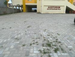 Metode Pemasangan Paving Block Pada Proyek Pembangunan UIN Datokarama Palu Diduga Tidak Sesuai Spesifikasi Teknis dan Bestek?