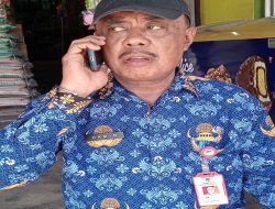 Kadis DLH Sebut Bank BNI Donggala Main Potong Pohon Mahoni