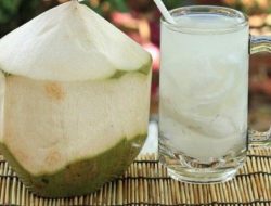 Berkhasiat, Berikut 5 Manfaat Kelapa Muda untuk Tubuh