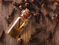 Manfaat Cengkeh untuk Kesehatan, Pengurang Sakit Gigi hingga Potensi Penurun Kadar Gula Darah