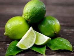 Jeruk Nipis, Buah Ajaib yang Kaya Manfaat untuk Kesehatan