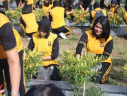 Polda Sulteng Memanfaatkan Lahan Pekarangan untuk Menanam Cabai dan Buah-Sayuran