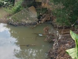 Jembatan Roboh di Desa Polanto Jaya Lalundu, Warga Tunggu Janji Perbaikan dari Pemda Donggala