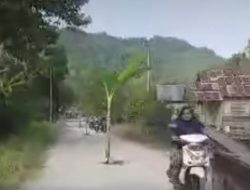 Penanaman Pohon Pisang di Jalan Poros Malakosa Tumpapa, Menyusul Protes Warga