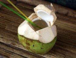 Manfaat Luar Biasa Air Kelapa untuk Kesehatan Tubuh