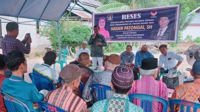 hasan patongai