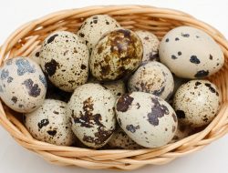 Jarang jadi Opsi Asupan, Ini Manfaat Telur Puyuh bagi Kesehatan
