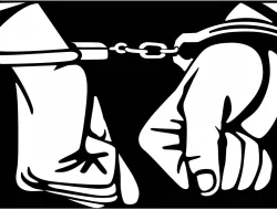 Polisi Berhasil Amankan Dua Spesialis Pembobol Rumah