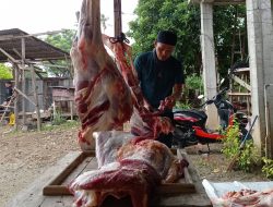 Konsumsi Daging Sapi untuk Penderita Kolesterol Perlu Batasan