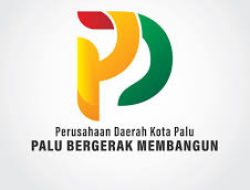 Melacak Keberadaan Aset Perusda Kota Palu, Diduga Ada Aset Alat Berat Disewakan di Morowali