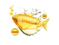 Kaya Kandungan Omega-3, Inilah 5 Ikan Air Tawar Miliki Manfaat Bagi Kesehatan