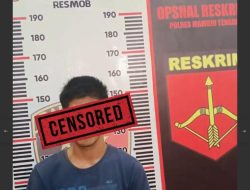 Satreskrim Polres Mateng Tangkap Oknum Sopir Pelaku Pencabulan Mahasiswi asal Pasangkayu, Kronologinya Sempat Diraba Saat Perjalanan