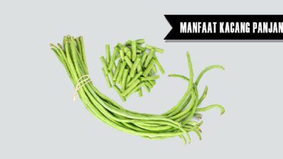 Ini Lima Manfaat Kacang Panjang Bagi Kesehatan, Kalian Wajib Ketahui