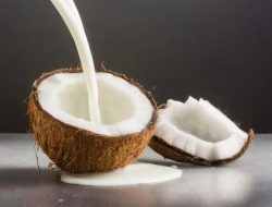 Dahsyat, Ini Sederet Manfaat Santan Kelapa bagi Tubuh!