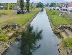 Ketua KTNA Morut Bantah Kabar Tak Ada Irigasi di Bungku Utara dan Mamosalato