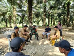 Babinsa Petasia Perkuat Sinergi dengan Warga Desa Molino Morowali Utara