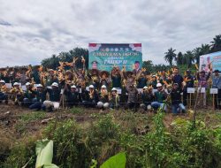 Panen Perdana Jagung, PT LTT Tegaskan Komitmen Ketahanan Pangan