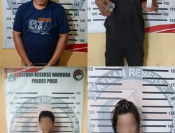 Polres Poso Ringkus 4 Pengedar Sabu, Barang Bukti Capai 50 Gram Lebih