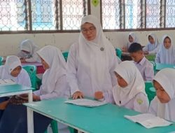 20 Tahun Mengabdi dan Sempat Terima Honor Rp 100 Ribu, Hafsah Akhirnya Diangkat PPPK