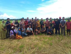 SYUKURAN PANEN RAYA DI KASOLOANG! Anggota DPR RI Agus Ambo Jiwa Dukung Kemajuan Pertanian