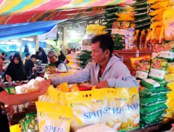 Harga Beras Melonjak, Pemerintah Aktifkan Lagi Program SPHP untuk Kendalikan Pasar