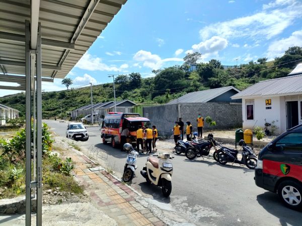 palu