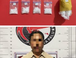Satresnarkoba Polresta Palu Tangkap Perempuan Pengedar Sabu, 4 Paket Diamankan dari Warung