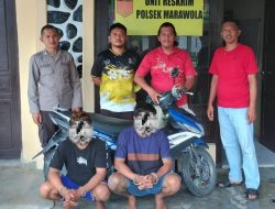 Pencurian Ternak Terungkap, Dua Warga Sigi Dibekuk Polisi