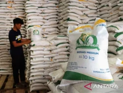 Bulog Siap Salurkan Bantuan Beras ke 18,27 Juta Penerima di Seluruh Indonesia