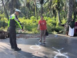 Kecelakaan Maut di Tikke: Dua Tewas dan Lima Luka, Truk Tronton Hantam Tiga Truk Canter