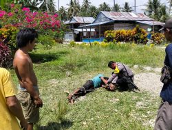 Aksi Sigap Babinkamtibmas Desa Dan Warga Amankan Pelaku Pembunuhan Di Desa Padaelo