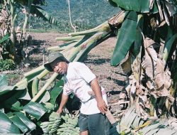 Pencurian Marak di Desa Rarampadende, Warga Minta Pemerintah Jangan Tutup Mata