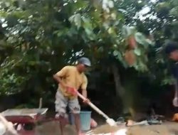 Perusahaan Kelas BUMN PT. PP Diduga Beroperasi Langgar Regulasi, Pekerja Diduga Tak Gunakan APD di Proyek Irigasi Bendung Mepanga