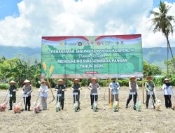 Polda Sulteng Libatkan Kelompok Tani Tanam Jagung Kuartal IV di lahan 1.864,50 hektar