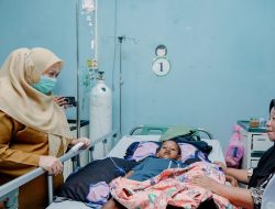 111 Ribu PBI di Sulteng Dinonaktifkan, Wagub Reny: Kami Tetap Layani Melalui Berani Sehat