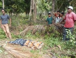 Penemuan Jasad Pelajar Gegerkan Warga Parigi Utara