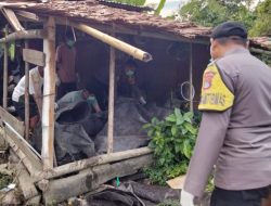 Penemuan Mayat Gegerkan Warga Kasimbar, Polisi Selidiki Penyebab Kematian