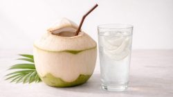 Air Kelapa Jadi Primadona Hidup Sehat, Ini Manfaat Luar Biasa yang Perlu Diketahui