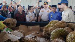 Gubernur Anwar Hafid Lepas Ekspor 459 Ton Durian ke Tiongkok, Sulteng Siap Jadi Ikon Baru Nasional