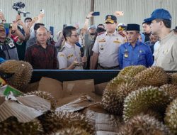 Gubernur Anwar Hafid Lepas Ekspor 459 Ton Durian ke Tiongkok, Sulteng Siap Jadi Ikon Baru Nasional