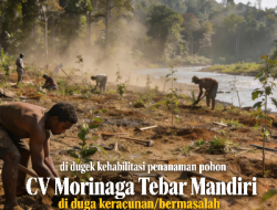 Fenomena Janggal Proyek DAS: “Lompat Tahun”, Target Tak Tuntas, Pelaksana Bungkam