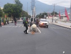 Diduga Terobos Lampu Merah, Ojol Tewas Usai Tabrakan di Simpang Empat Kota Palu