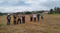 Sinergi Polri dan Warga, IPDA Yayang Luki Pimpin Tanam Jagung 2 Ha di Mepanga