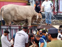 Dukungan Menteri Imipas, HBB Salurkan 210 Paket Daging Kurban di Medan